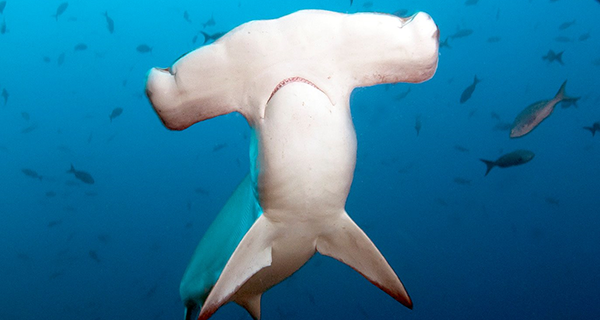 直面企业宣传片拍摄的51个秘密(1)