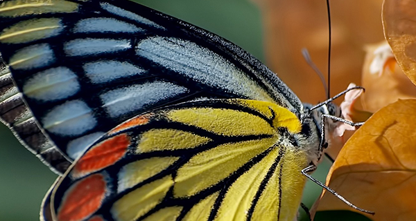 这样选择企业宣传片你就对路了